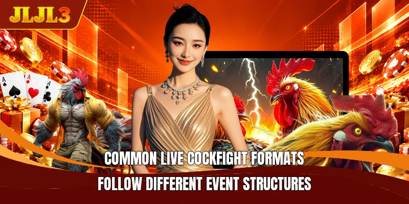 Common live cockfight formats follow different event structures